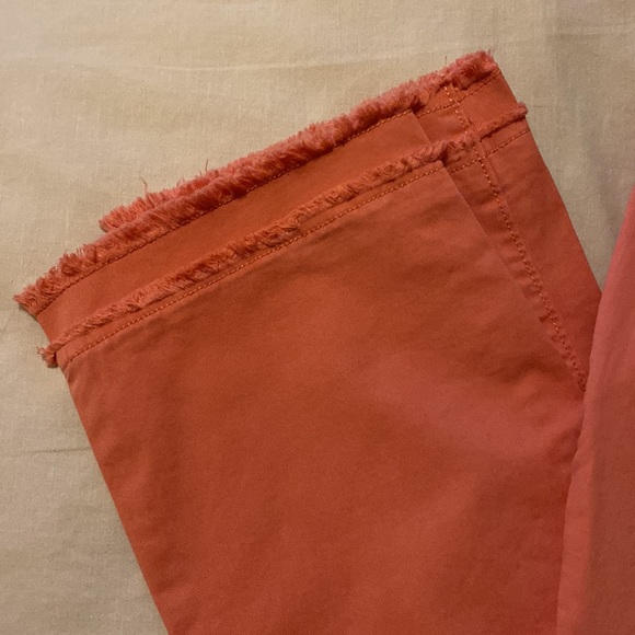 NWT Loft Pink Ankle Pant - Picture 3 of 6